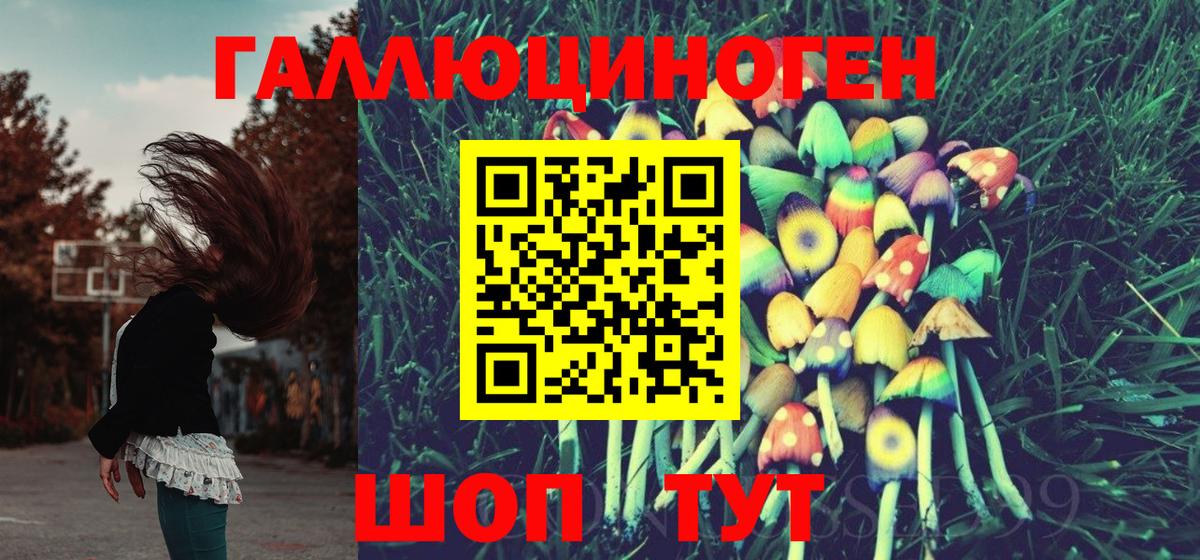 Галлюциногенные грибы GOLDEN TEACHER Рубцовск