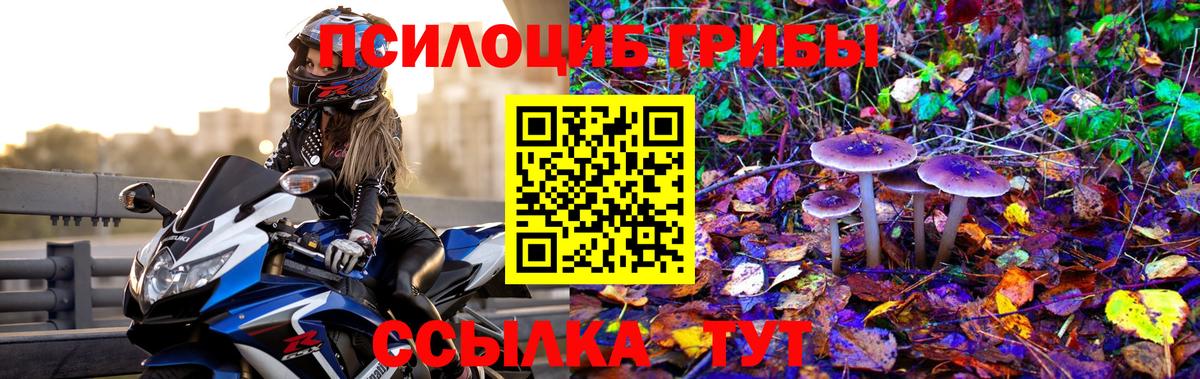 Псилоцибиновые грибы мухоморы  Вход с VPN  Рубцовск 